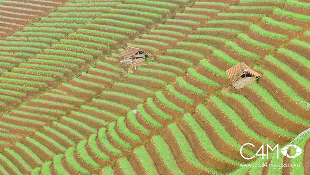 Kebun Bawang Argapura