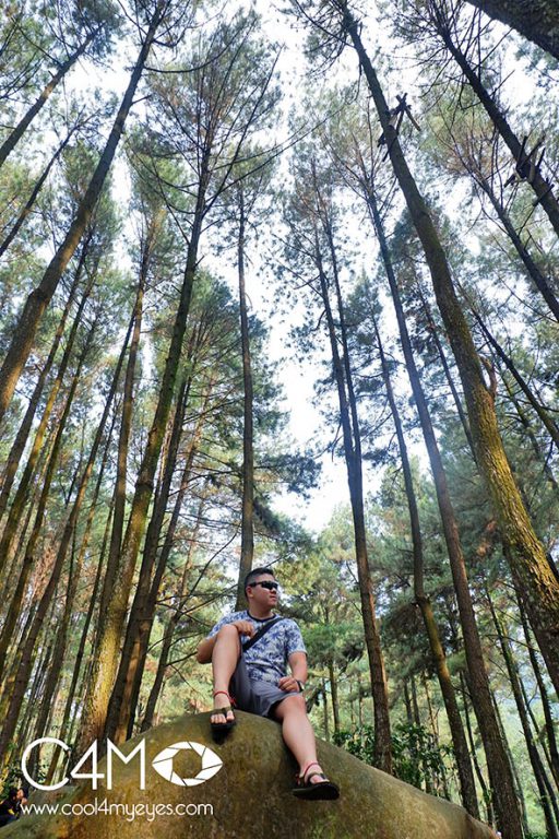 Spot Menarik di Hutan Pinus Gunung Pancar