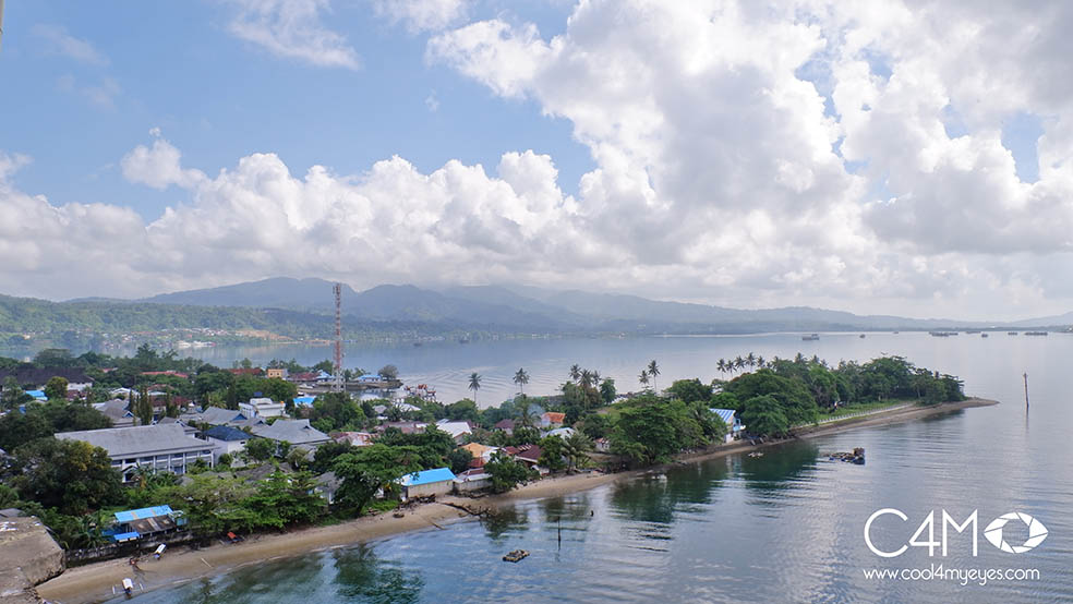 Ambon Manise