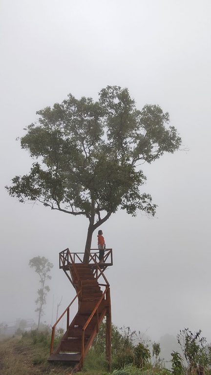 Berselimut kabut tebal