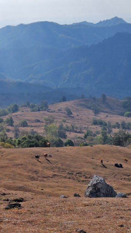 Perbukitan Lelogama